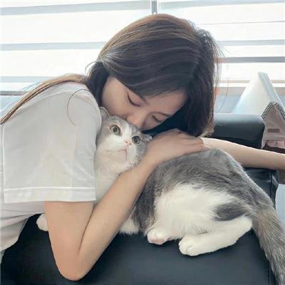 女贼金丝猫